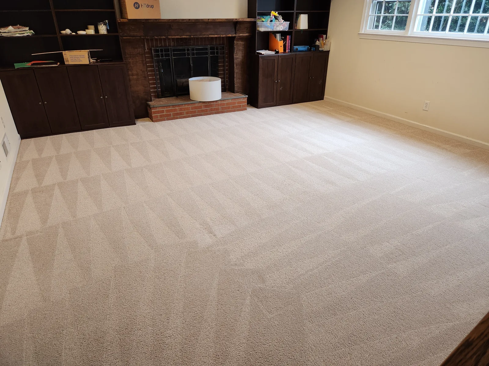 Carpet Cleaning Springfield VA — Dries in Hours, Not Days