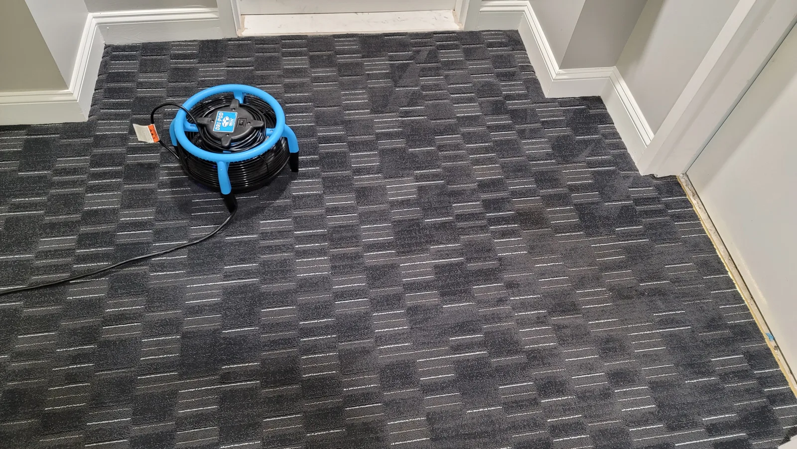 Commercial Carpet Cleaning Springfield VA — Professional Results Without the Downtime
