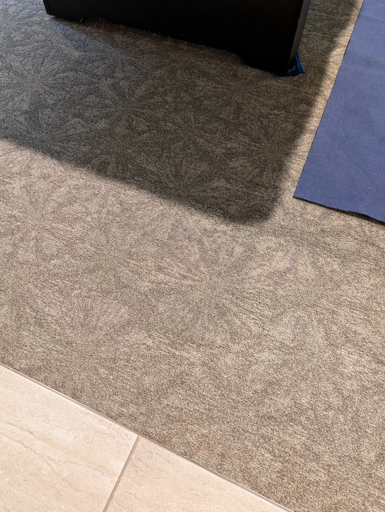 Commercial Carpet Dyeing after - Total Cleaning Service