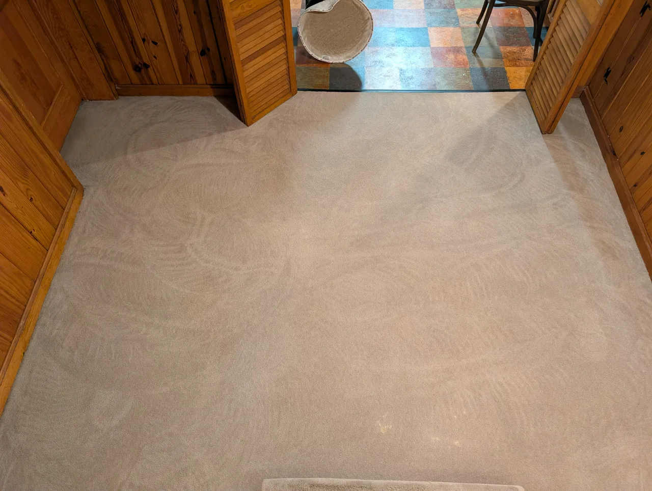 Pet Stain Removal after - Total Cleaning Service