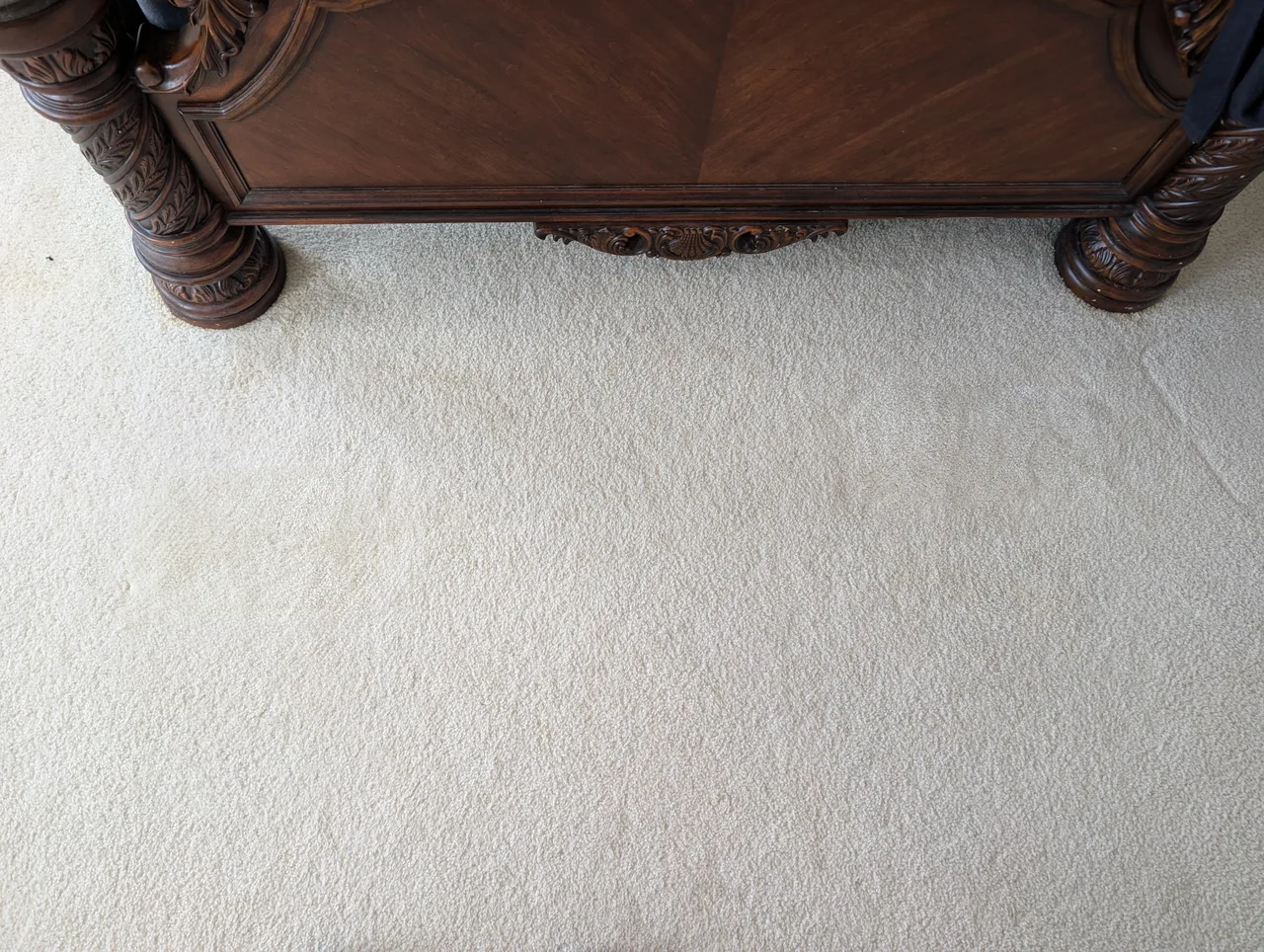 Pet Stain Removal after - Total Cleaning Service