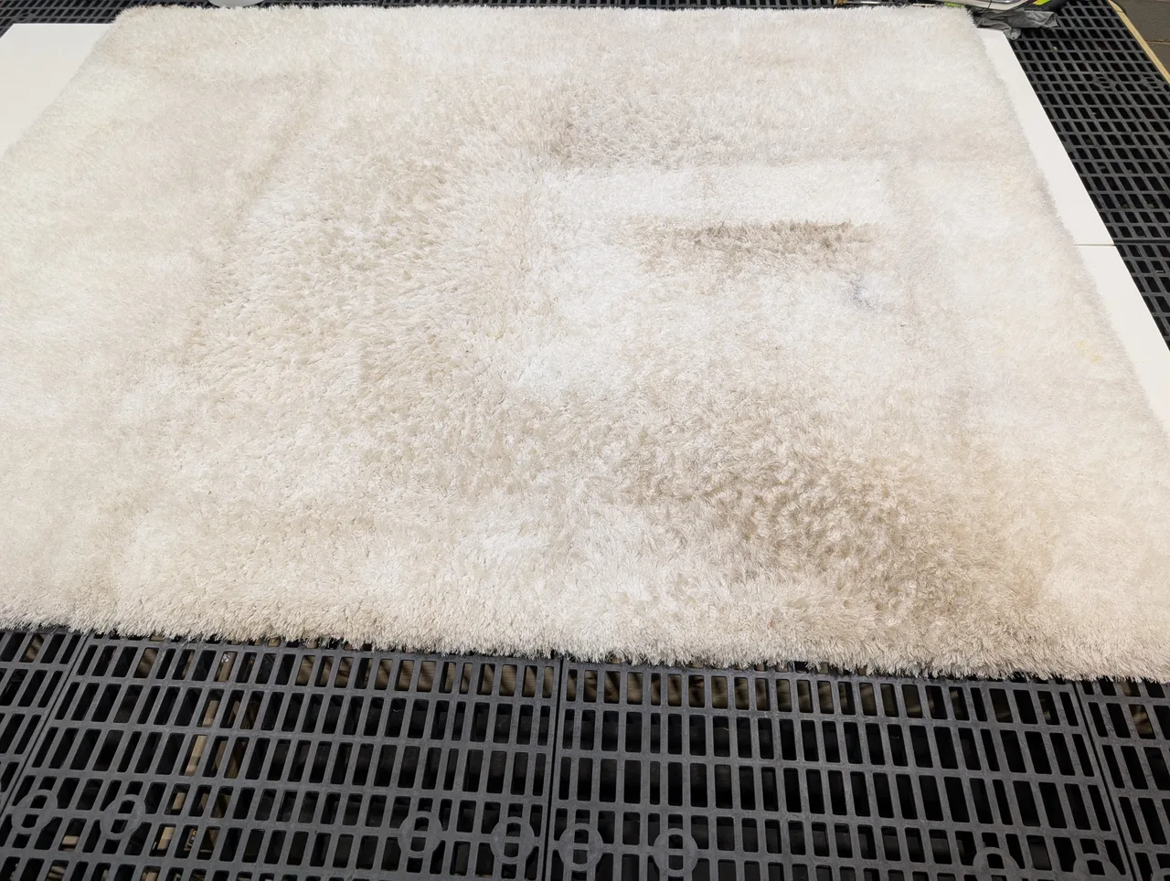 Rug Cleaning before - Total Cleaning Service