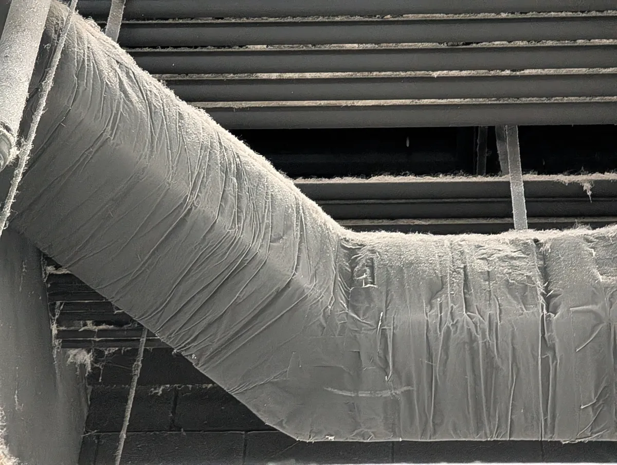 High dusting job at a pet store in Ashburn, VA — sprinkler heads and ceiling equipment cleaned from the ground